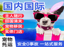 天津滨海航空快运国际宠物托运 【国